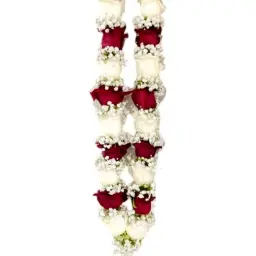 Natural Rose Necklace 2